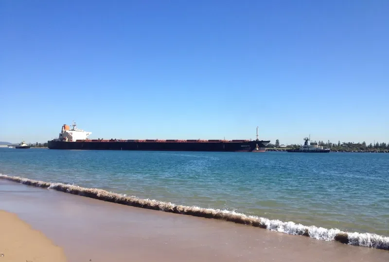 INNOVATOR Bulk Carrier IMO 9039195 photo 2
