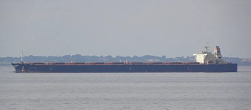 INNOVATOR Bulk Carrier IMO 9039195 photo 7