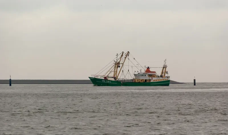 CORNELIS ZEEMAN General Cargo IMO 9039200 photo 5