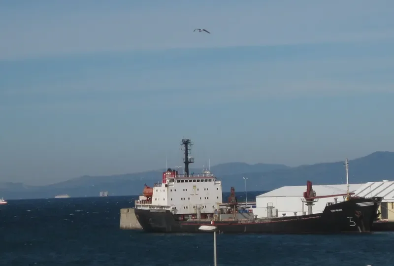 TAKA ISLAND General Cargo IMO 9039286 photo 2