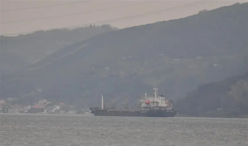 PORTO LEONE Bulk Carrier IMO 9039339 photo 8