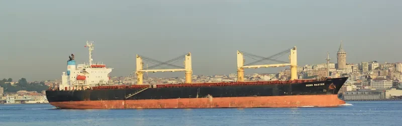 HONG MASTER General Cargo IMO 9039547