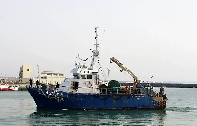 MAR SALGADO General Cargo IMO 9039781