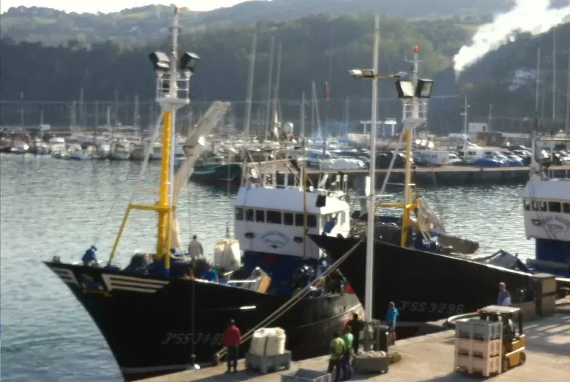 IRIGOYEN BERRIA General Cargo IMO 9039901 photo 3