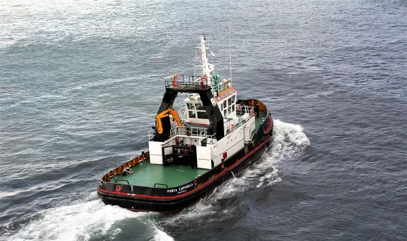 PUNTA CAMPANELLA General Cargo IMO 9040106