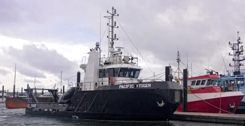 PACIFIC TIGER General Cargo IMO 9040209