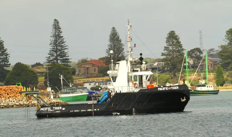 PACIFIC TIGER General Cargo IMO 9040209 photo 5