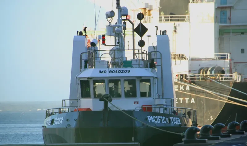 PACIFIC TIGER General Cargo IMO 9040209 photo 7