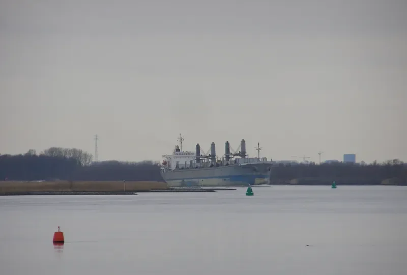 PACIFIC ENDEAVOR Bulk Carrier IMO 9040352 photo 3