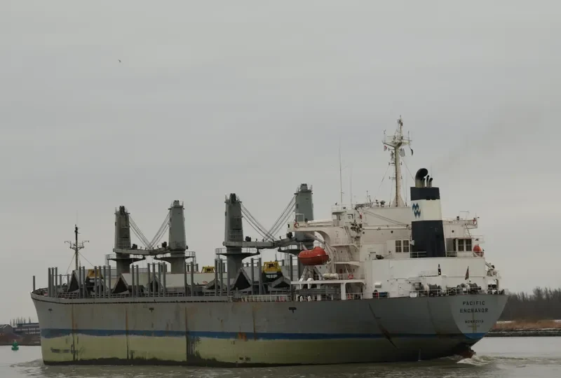 PACIFIC ENDEAVOR Bulk Carrier IMO 9040352 photo 4