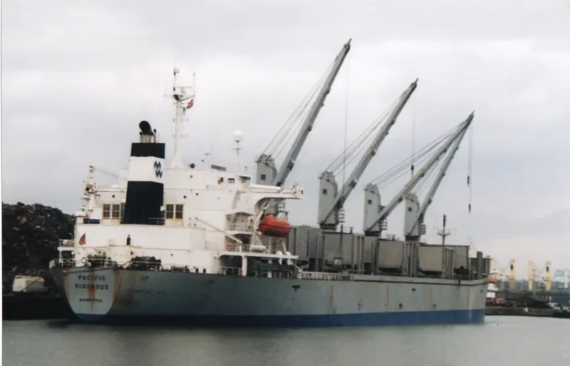 PACIFIC VIGOROUS Bulk Carrier IMO 9040364