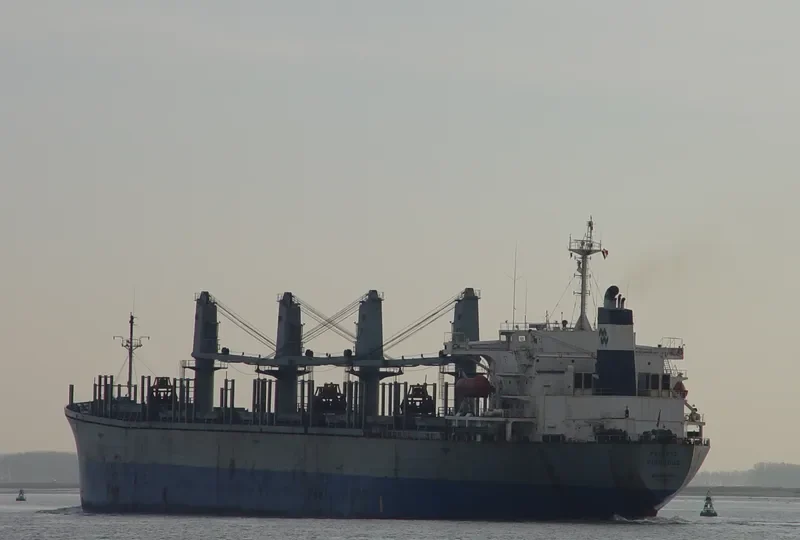 PACIFIC VIGOROUS Bulk Carrier IMO 9040364 photo 2