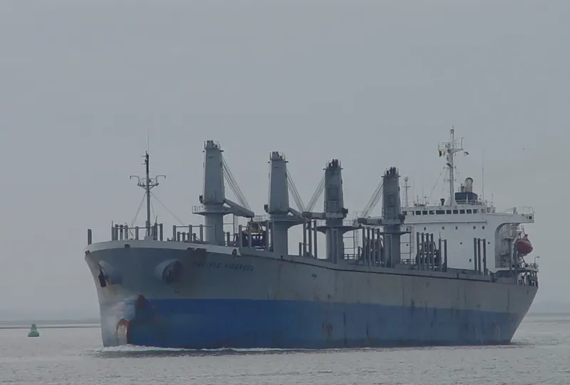 PACIFIC VIGOROUS Bulk Carrier IMO 9040364 photo 4