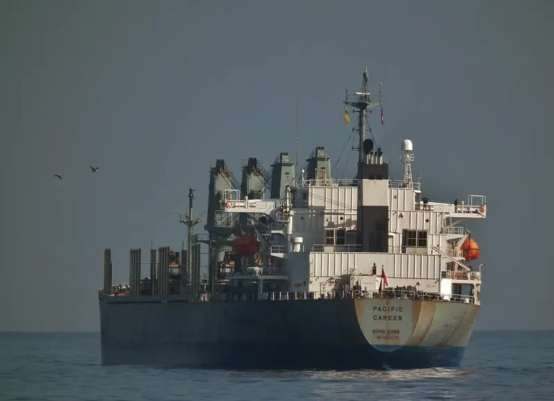 PACIFIC CAREER Bulk Carrier IMO 9040376