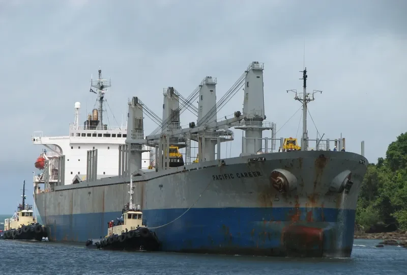 PACIFIC CAREER Bulk Carrier IMO 9040376 photo 5