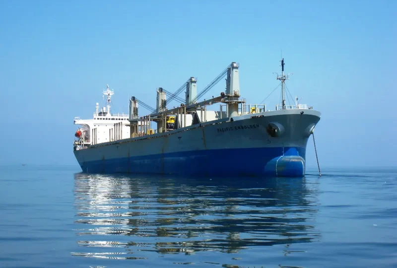 PACIFIC EMBOLDEN Bulk Carrier IMO 9040388 photo 7