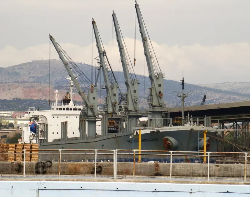 PACIFIC EMBOLDEN Bulk Carrier IMO 9040388 photo 8