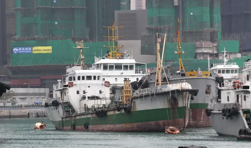 FEOSO DELEGATE General Cargo IMO 9040405 photo 2