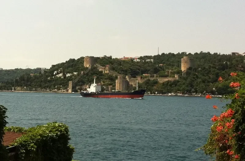 ZEYBE General Cargo IMO 9040663 photo 6