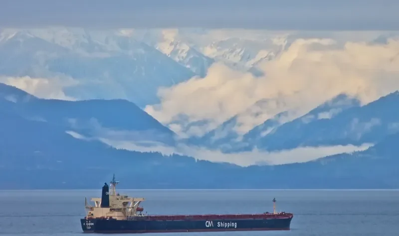 C.QUEEN Bulk Carrier IMO 9040857 photo 2