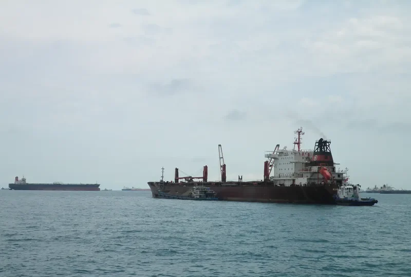 KIRAN ASYA Bulk Carrier IMO 9040895 photo 7
