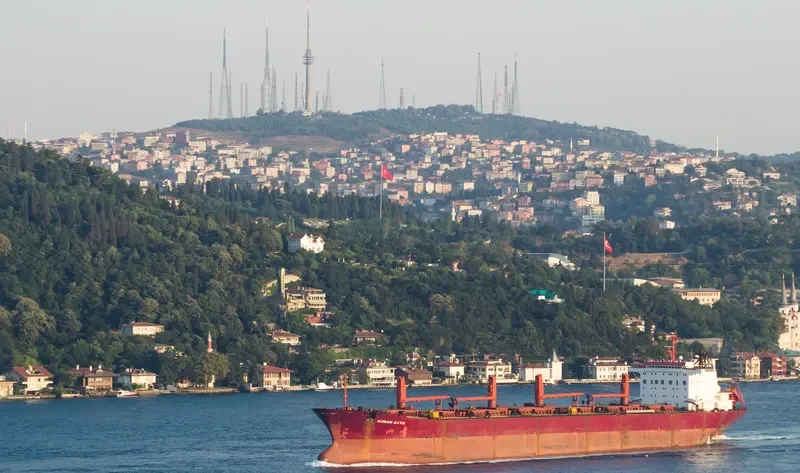 KIRAN ASYA Bulk Carrier IMO 9040895 photo 8
