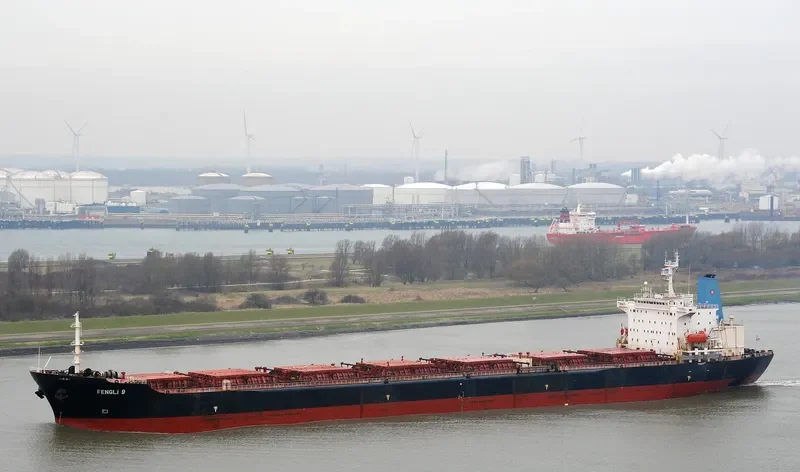 FENGLI 9 Bulk Carrier IMO 9041021