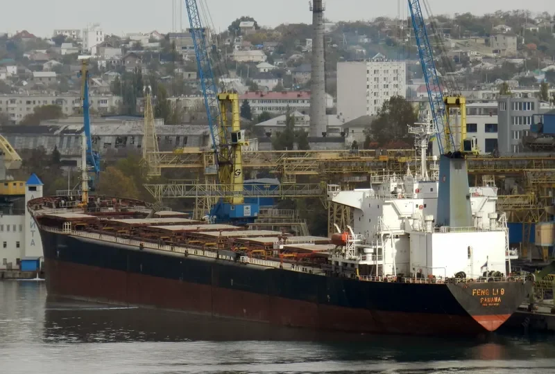 FENGLI 9 Bulk Carrier IMO 9041021 photo 4