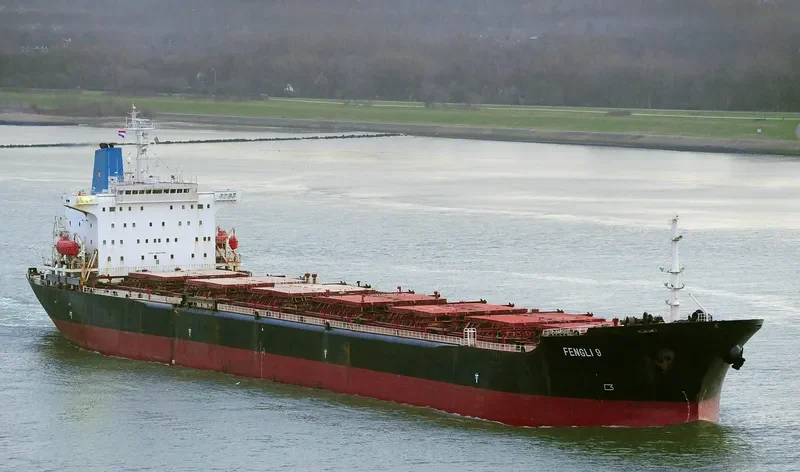 FENGLI 9 Bulk Carrier IMO 9041021 photo 5
