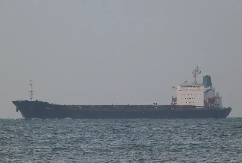 FENGLI 9 Bulk Carrier IMO 9041021 photo 8