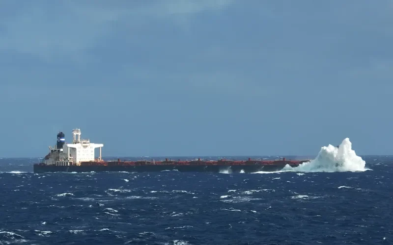 ERRADALE STAR Bulk Carrier IMO 9041033 photo 4