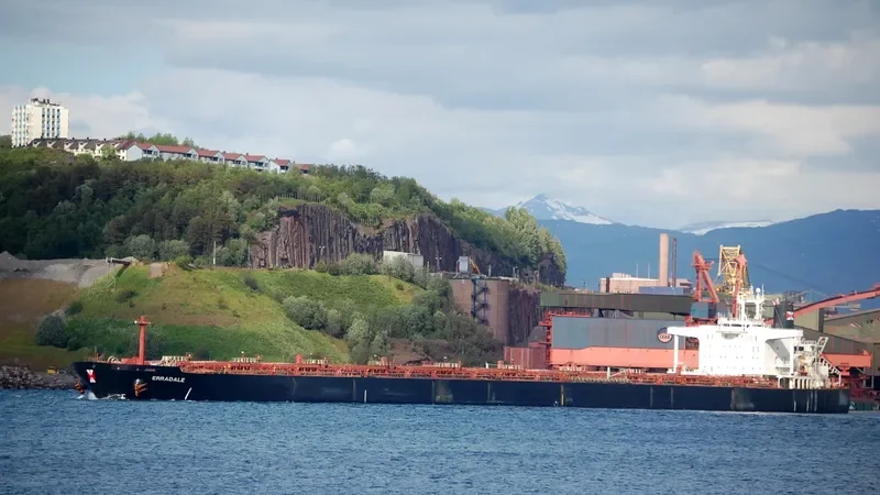 ERRADALE STAR Bulk Carrier IMO 9041033 photo 6