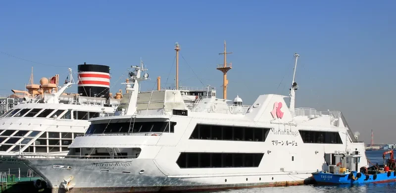 MARINE ROUGE Passenger Ship IMO 9041394 photo 8
