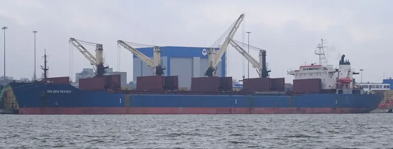 GOLDEN TRADER Bulk Carrier IMO 9041459 photo 2