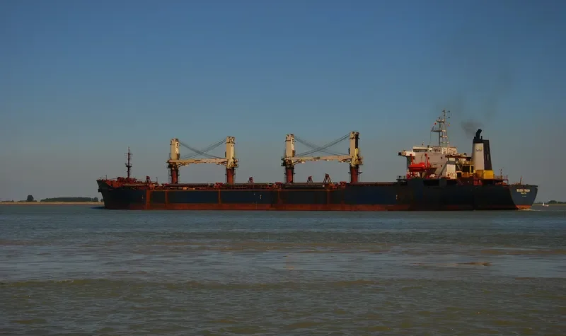 GOLDEN TRADER Bulk Carrier IMO 9041459 photo 5