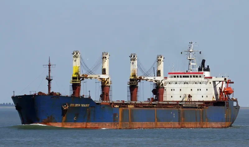 GOLDEN TRADER Bulk Carrier IMO 9041459 photo 6