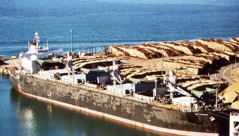 SKY PACIFIC Bulk Carrier IMO 9041485