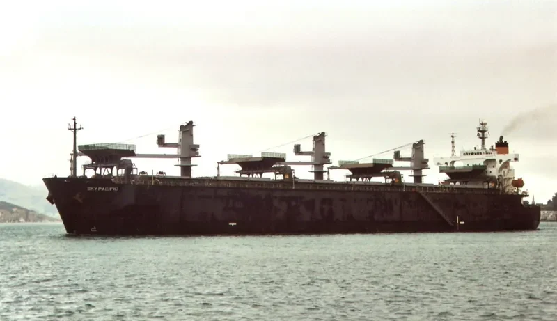 SKY PACIFIC Bulk Carrier IMO 9041485 photo 2