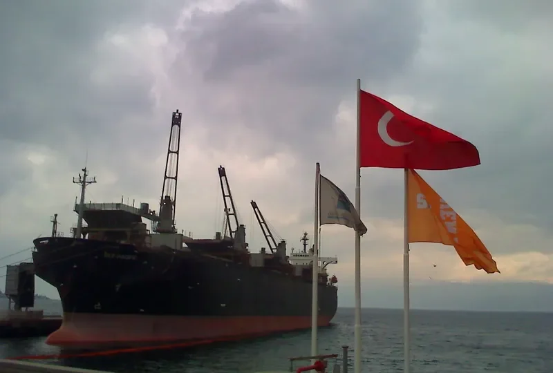 SKY PACIFIC Bulk Carrier IMO 9041485 photo 3