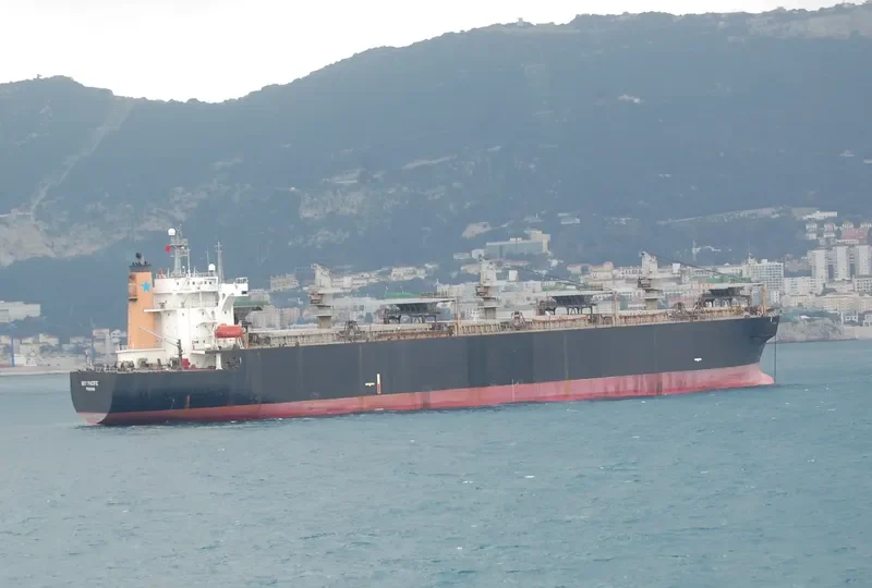 SKY PACIFIC Bulk Carrier IMO 9041485 photo 5