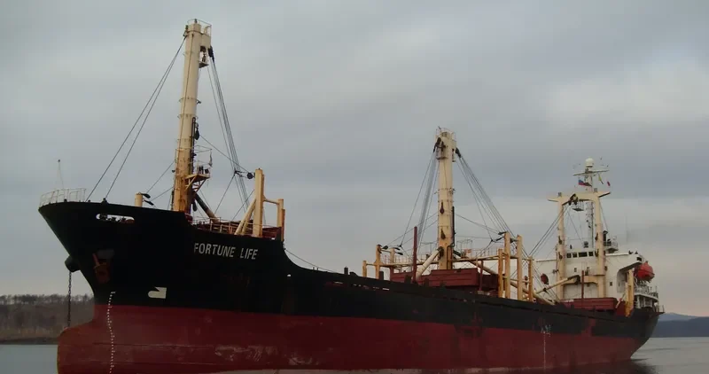 FORTUNE LIFE General Cargo IMO 9041722 photo 3