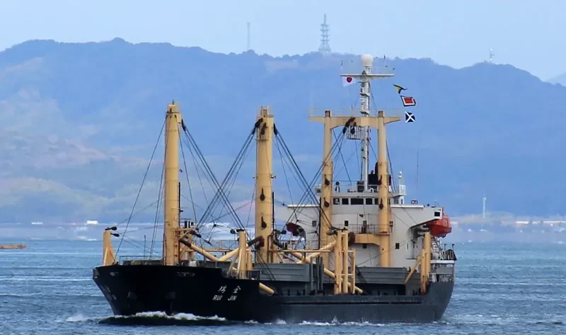 FORTUNE LIFE General Cargo IMO 9041722 photo 8