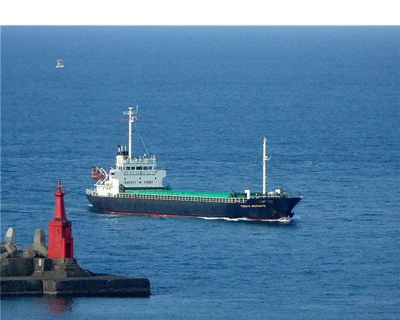 SF DILIGENCE General Cargo IMO 9041904 photo 4