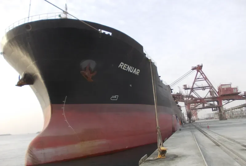 RENUAR Bulk Carrier IMO 9042221