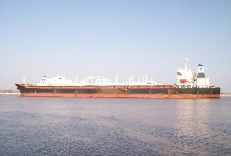 RENUAR Bulk Carrier IMO 9042221 photo 3