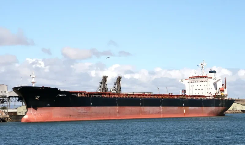 STAR JULIA Bulk Carrier IMO 9042233 photo 2