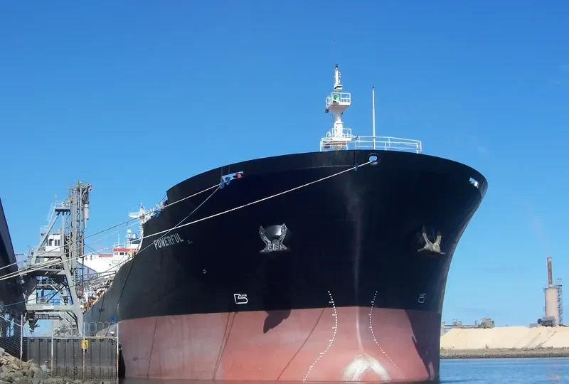 STAR JULIA Bulk Carrier IMO 9042233 photo 3