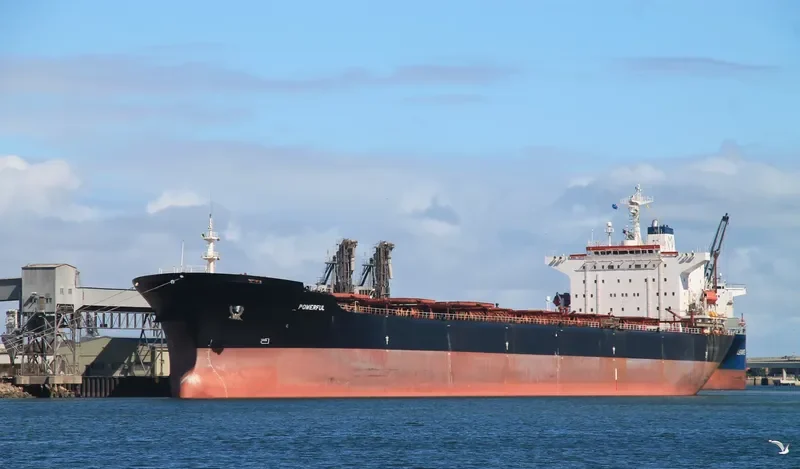 STAR JULIA Bulk Carrier IMO 9042233 photo 4