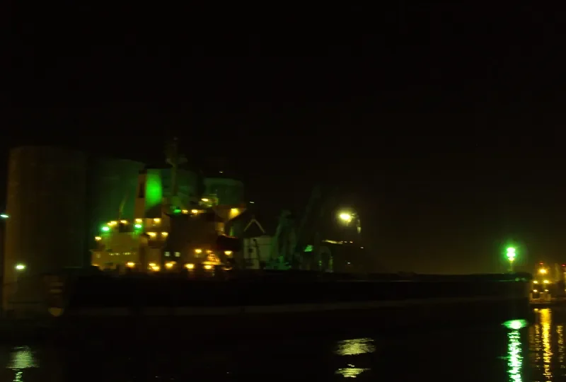 STAR JULIA Bulk Carrier IMO 9042233 photo 6