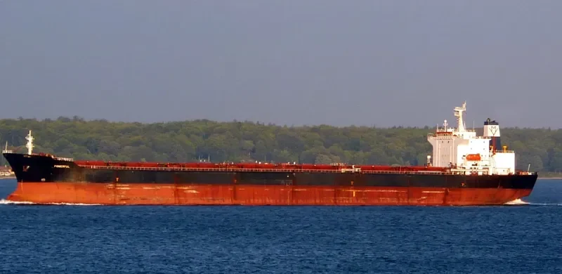 STAR JULIA Bulk Carrier IMO 9042233 photo 9